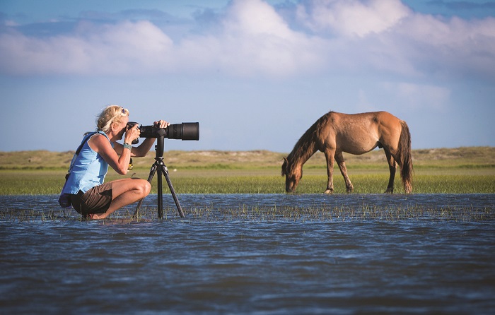 lisa cueman photographing horse