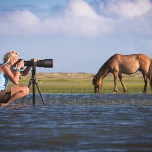 lisa cueman photographing horse